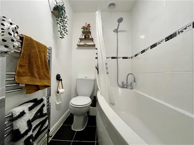 Picture 7